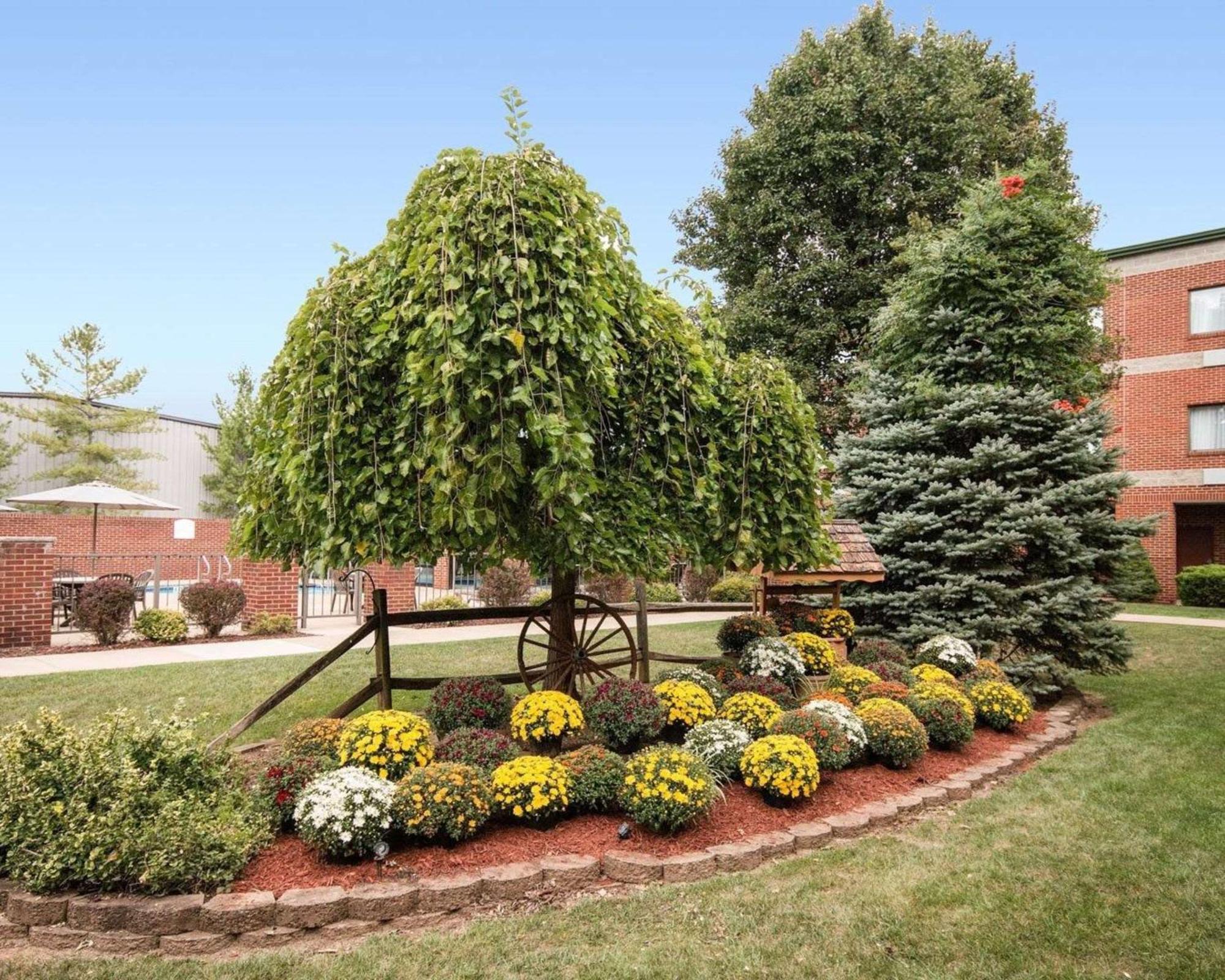 Comfort Suites Parkersburg South Mineral Wells Buitenkant foto